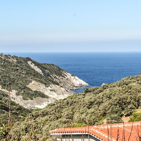Nest View House Appartement Skiathos-stad Buitenkant foto