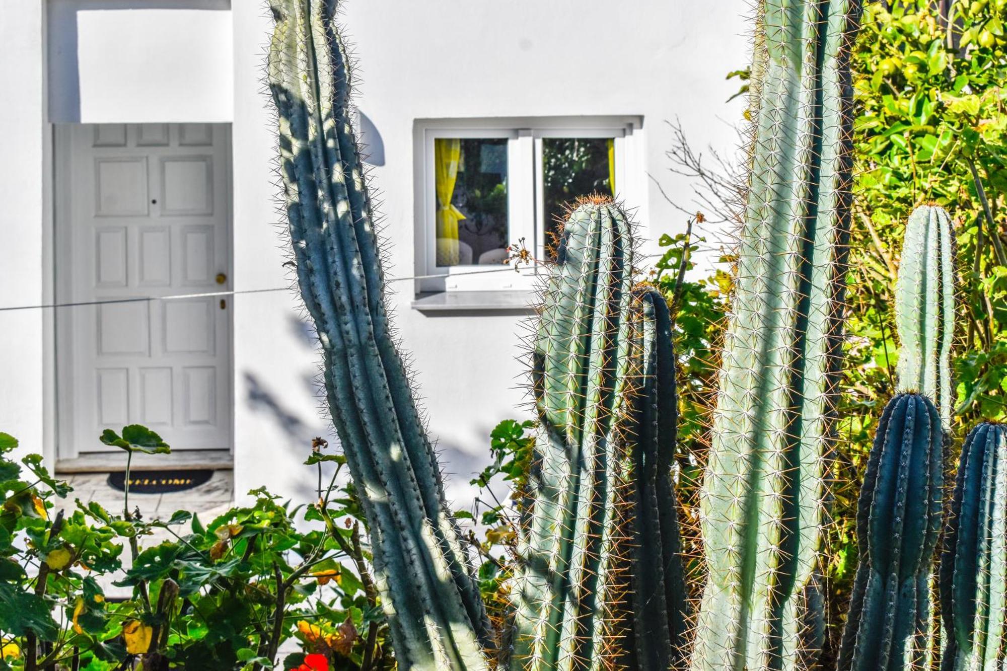 Nest View House Appartement Skiathos-stad Buitenkant foto